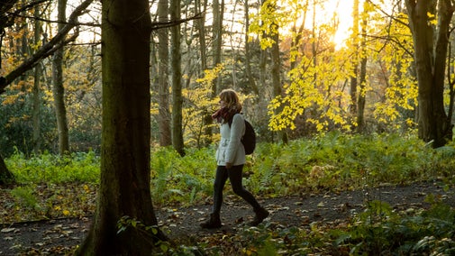 Women walking on a path through woodland tree trunk in foreground